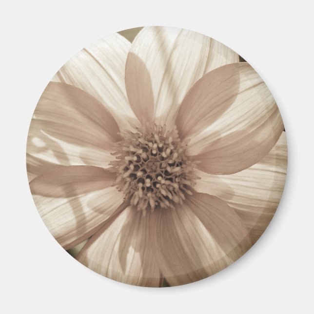 Íman Sunny Dahlia (Frente)