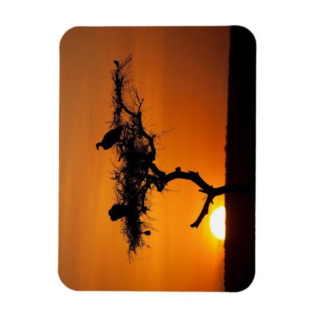 Íman Sunrise no Masai Mara, Quênia (Vertical)