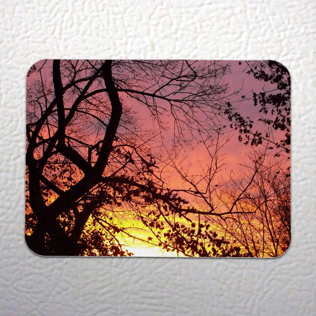 Íman Sunset Colorido Através De Árvores Negras (Colorful Sunset Through Bare Trees Magnet on White Fridge)