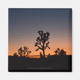 Íman Sunset Joshua Trees