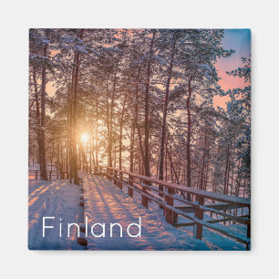 Íman Sunset na floresta de pinheiros com neve com raio 