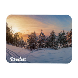 Íman Sunset sobre floresta de neve congelada perto