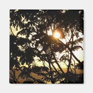 Íman Sunset Through Tres I Fotografia Tropical