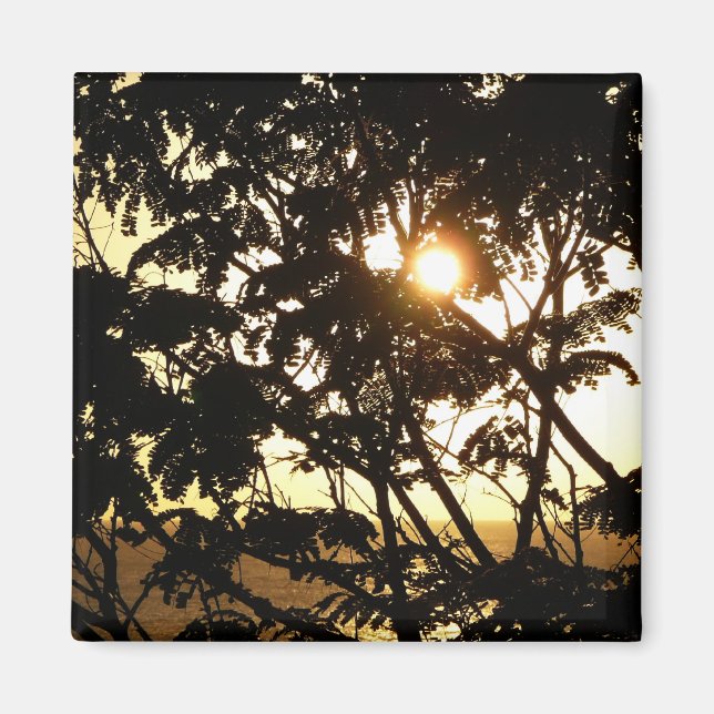 Íman Sunset Through Tres I Fotografia Tropical (Frente)