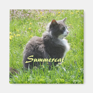 Íman Sunshine Cat Magnet