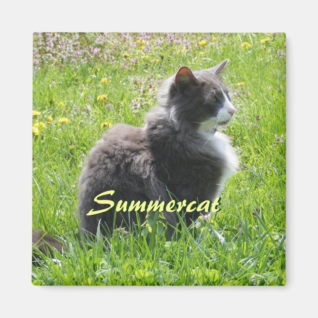 Íman Sunshine Cat Magnet (Frente)