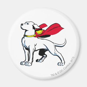 Íman Superdog Krypto