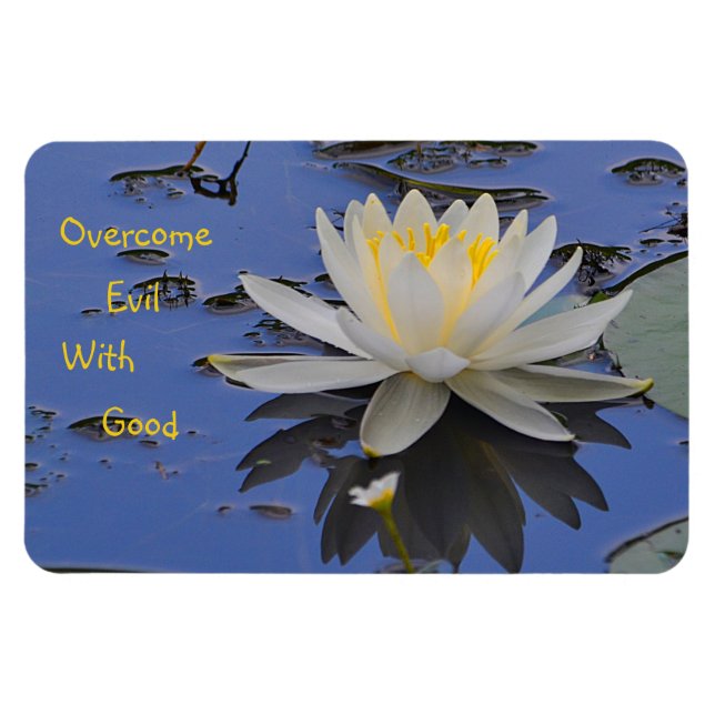 Íman Supere o Mau com bom (Horizontal)