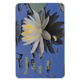 Íman Supere o Mau com bom