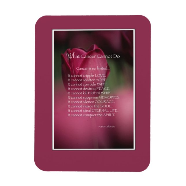 Íman Suporte a canceres, Que Cancer Não Pode Fazer, Flo (Vertical)