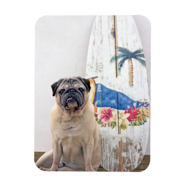 Íman Surf Pug (Vertical)