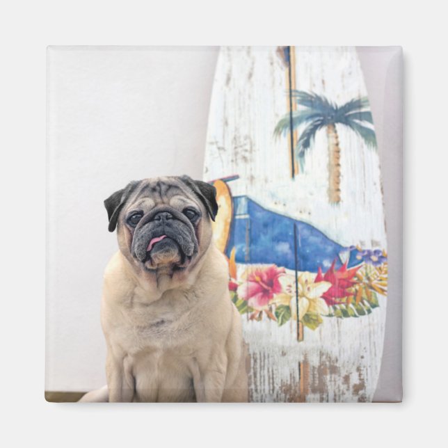 Íman Surf Pug (Frente)