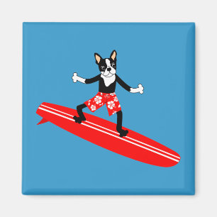 Íman Surfista de Boston Terrier Longboard