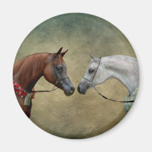 Íman Surreal, pintura de dois cavalos.