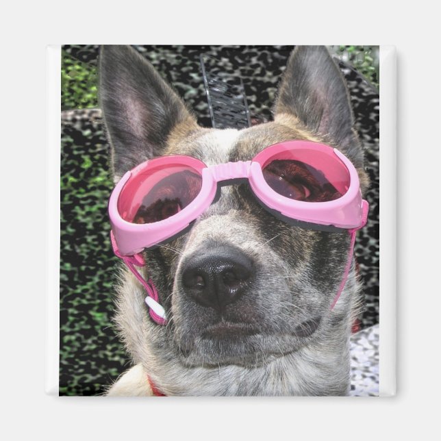 Íman Surrey Magnet (Frente)