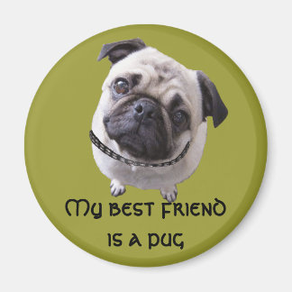 Íman “Surrupias "