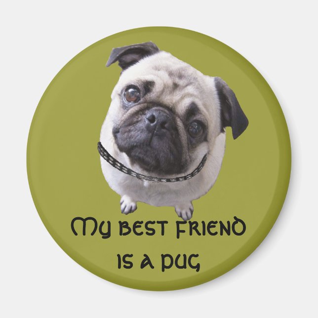 Íman “Surrupias " (Frente)