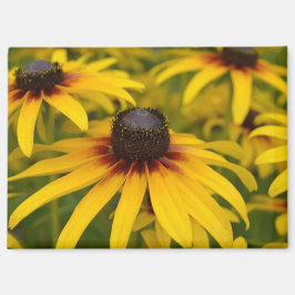 Íman Susan Flowers de Olhos Negros