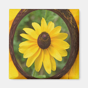 Íman Susan Sunny...