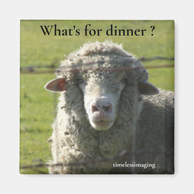 Íman Sutter Buttes Mountain Range a foto da ovelha. (Frente)