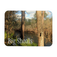 Suwanee River, Big Shoals State Park, Florida