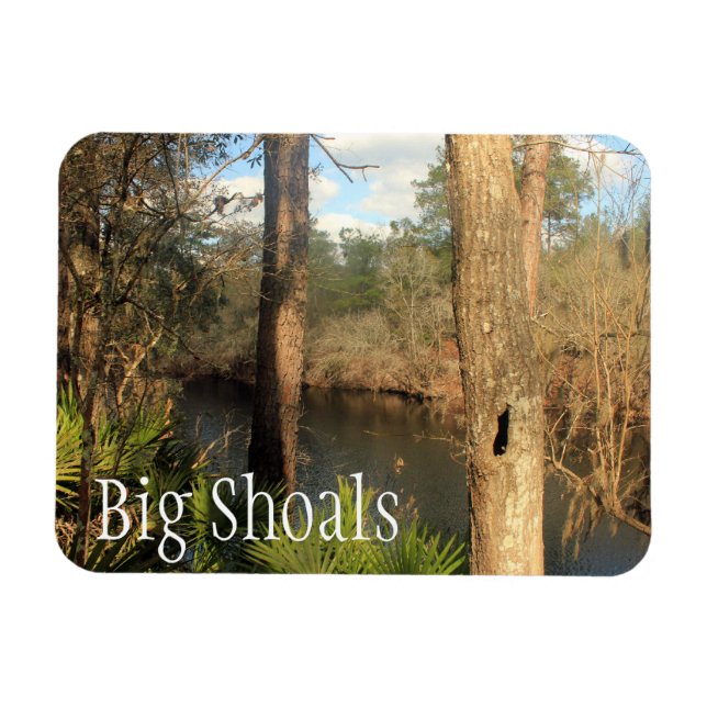 Íman Suwanee River, Big Shoals State Park, Florida (Horizontal)