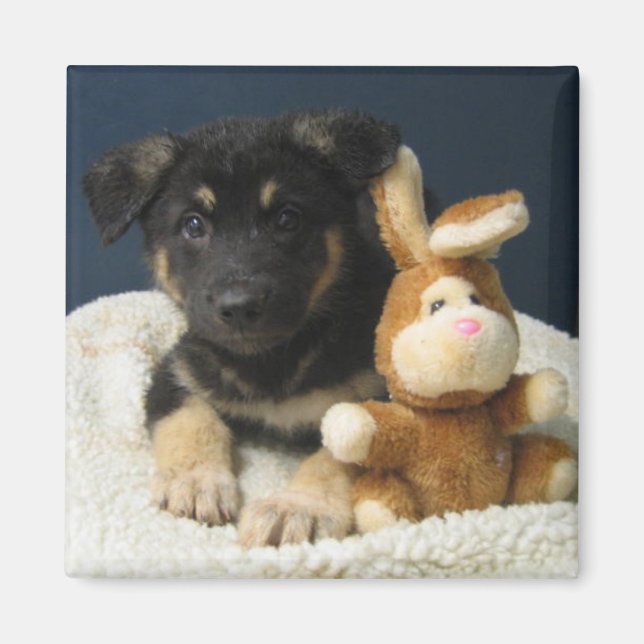 Íman Suzy Q (Frente)