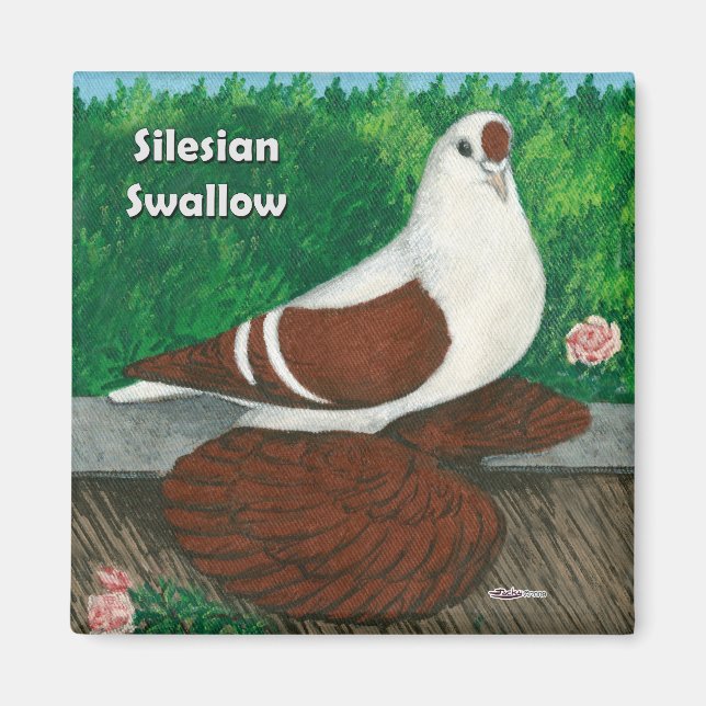 Íman Swallow Pigeon: Silésia (Frente)