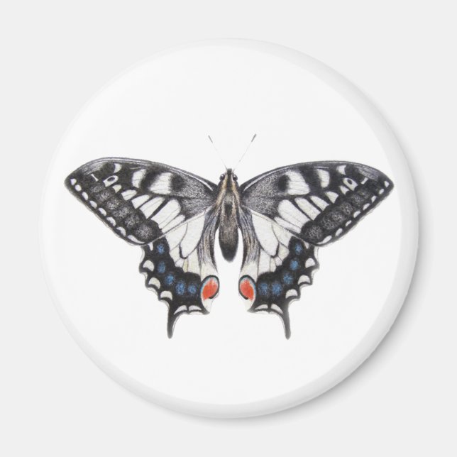 Íman Swallowtail 2012 (Frente)