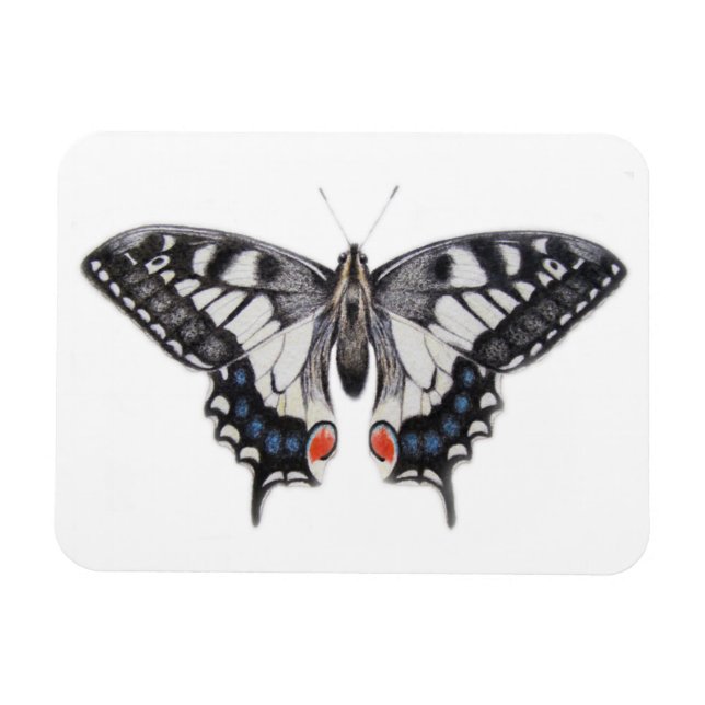 Íman Swallowtail 2012 (Horizontal)
