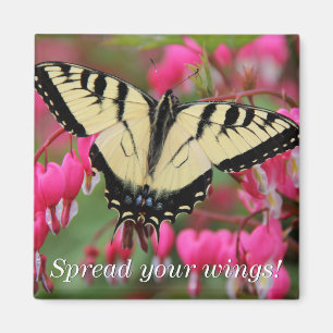 Íman Swallowtail oriental 2