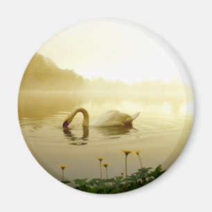 Íman Swan