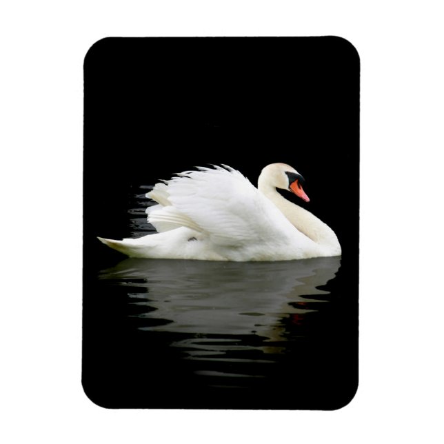 Íman Swan (Vertical)