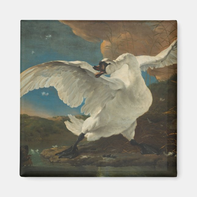 Íman Swan fine art Asselijn (Frente)