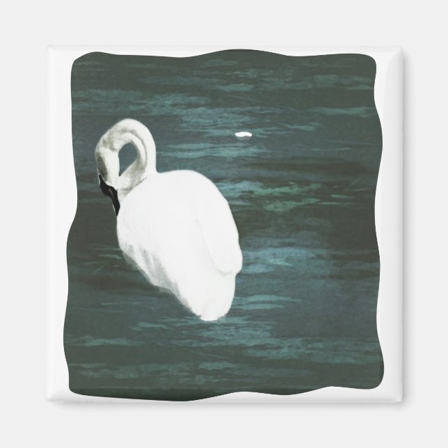 Íman Swan no Pond (Frente)