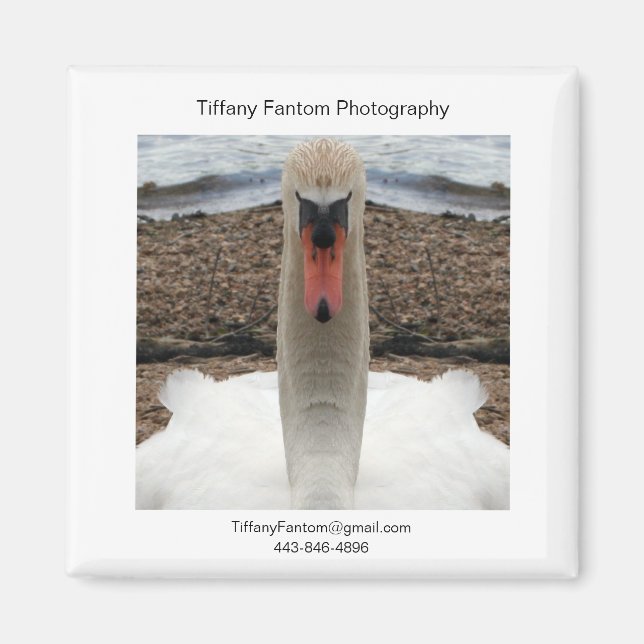 Íman Swan Promo Piece (Frente)