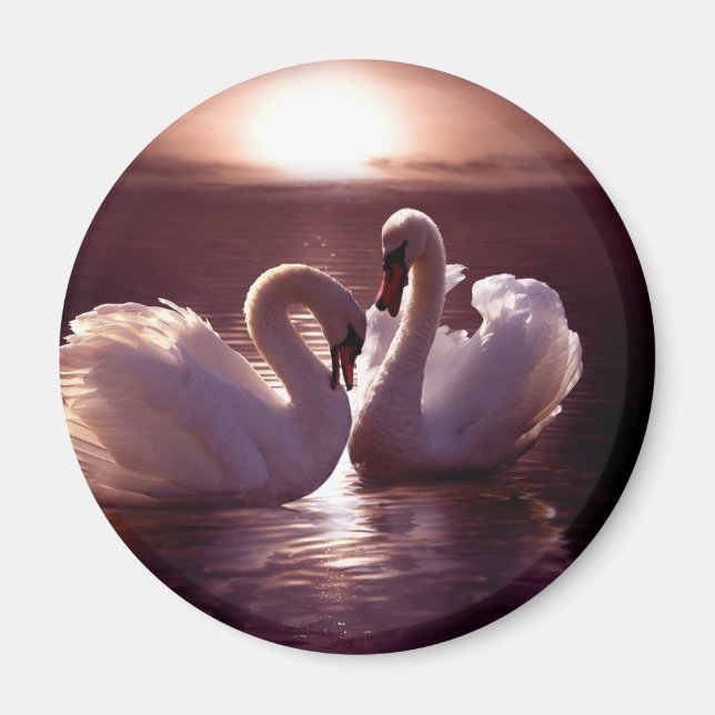 Íman Swans Adorantes Formando um Coração (Frente)