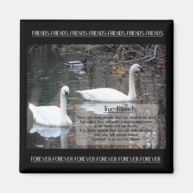 Íman Swans-Verdadeiros Amigos (Frente)