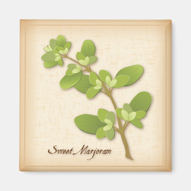 Íman Sweet Marjoram Herb (Frente)