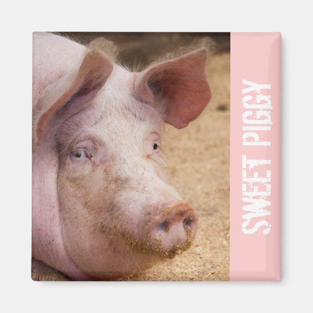 Íman Sweet Piggy Magnet (Frente)