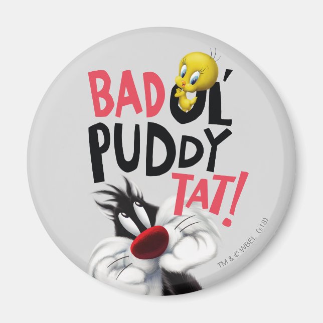 Íman SYLVESTER™ E TWEETY™- Velho Gato Malvado (Frente)