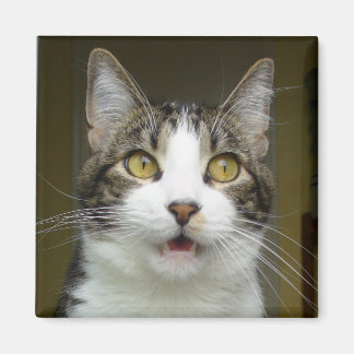 Íman Syrus Chocked Magnet 0001