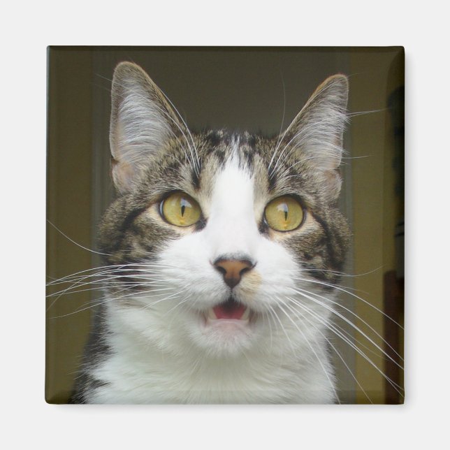 Íman Syrus Chocked Magnet 0001 (Frente)