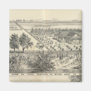 Íman T fazenda Winters