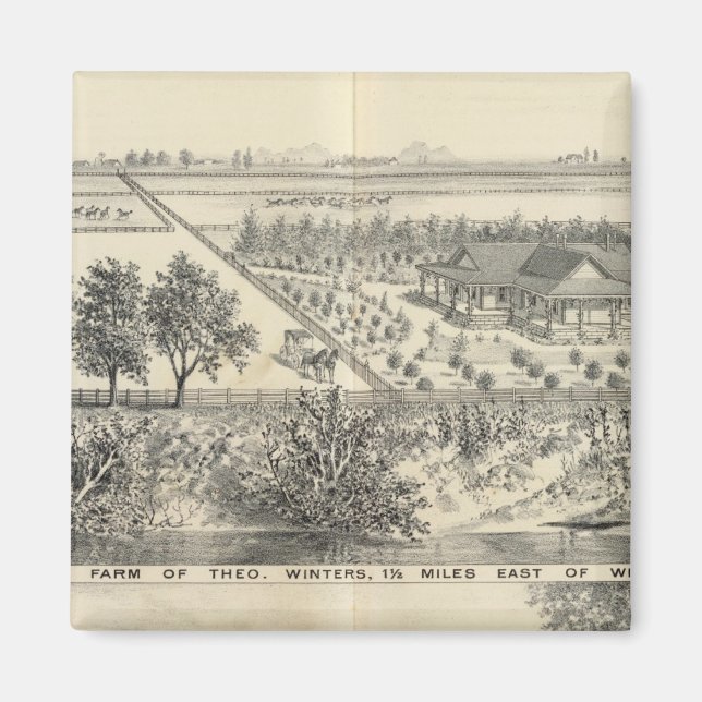 Íman T fazenda Winters (Frente)