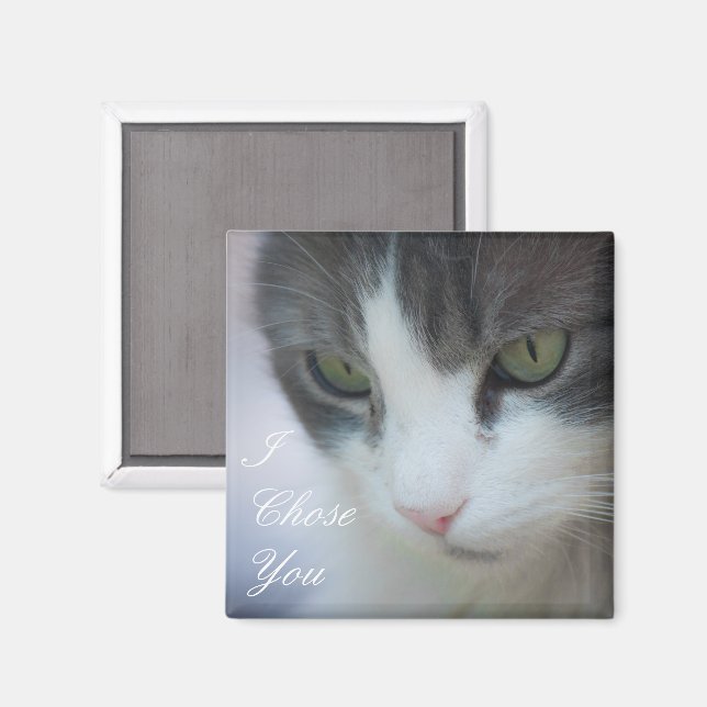 Íman Tabby-and-White Cat Staring (Front/Back)