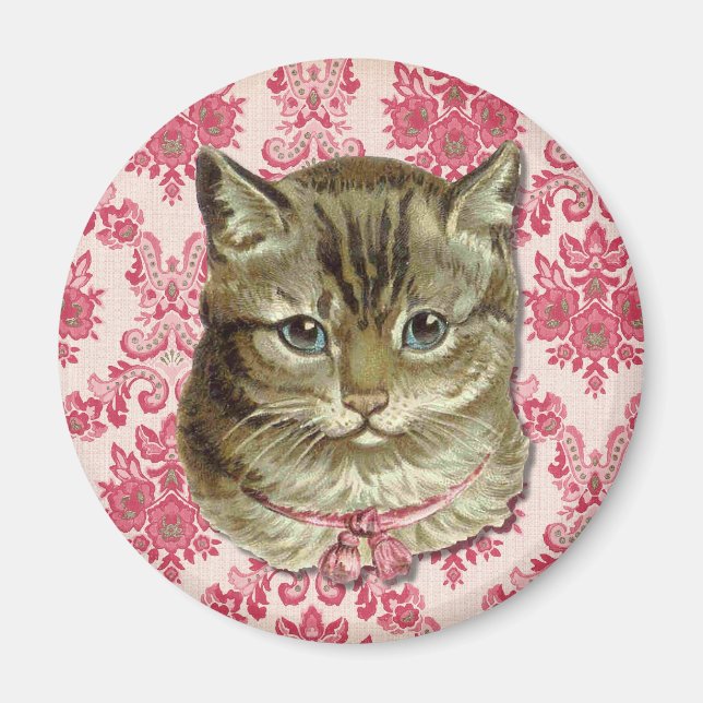 Íman Tabby cat (Frente)