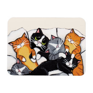 Íman Tabby Cat and Tuxedo Cat Sleepover