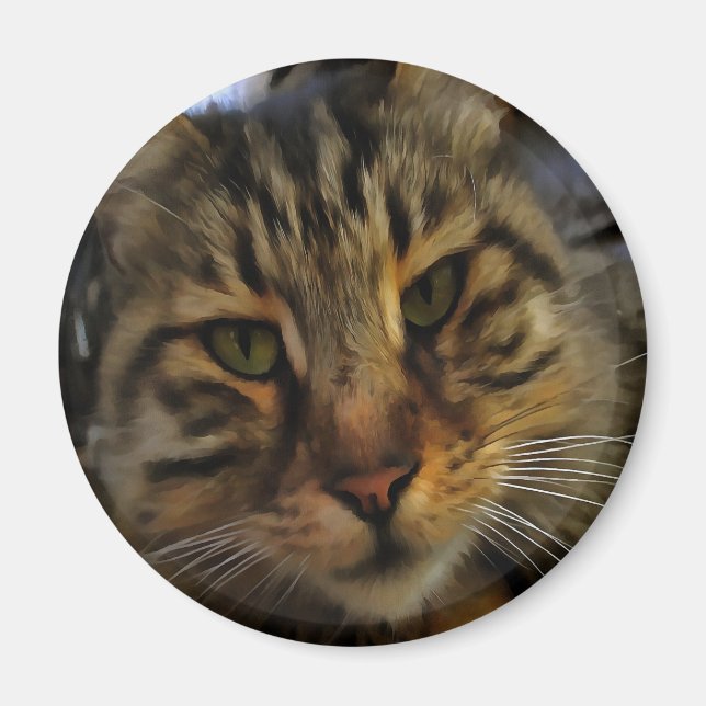 Íman Tabby Cat Artístico Retrato v2 (Frente)