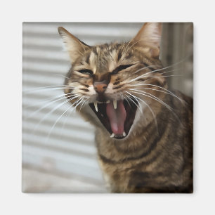 Íman Tabby Cat Gawning Retrato Artístico